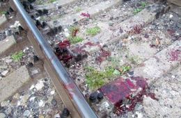 Молодому парню в Карымской почти отрезало ноги поездом