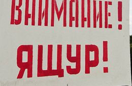 ​Жителям села Кайластуй возместили ущерб за изъятие заболевших ящуром животных