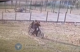 Мотоциклист сбил двухлетнего ребенка в Карымском в Забайкалье (видео)