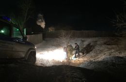 В Домне, где погибла девочка, слышны выстрелы. Мужики отстреливают собак.