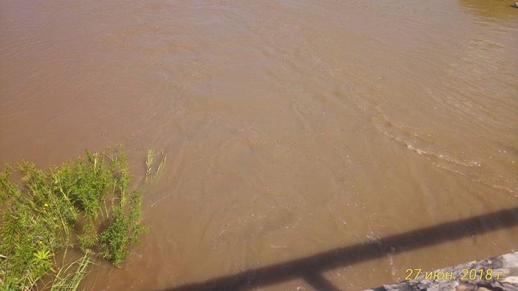 Золотодобывающие компании загрязняют речки в Балейском районе