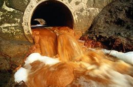 Шерловая Гора на грани фекальной катастрофы
