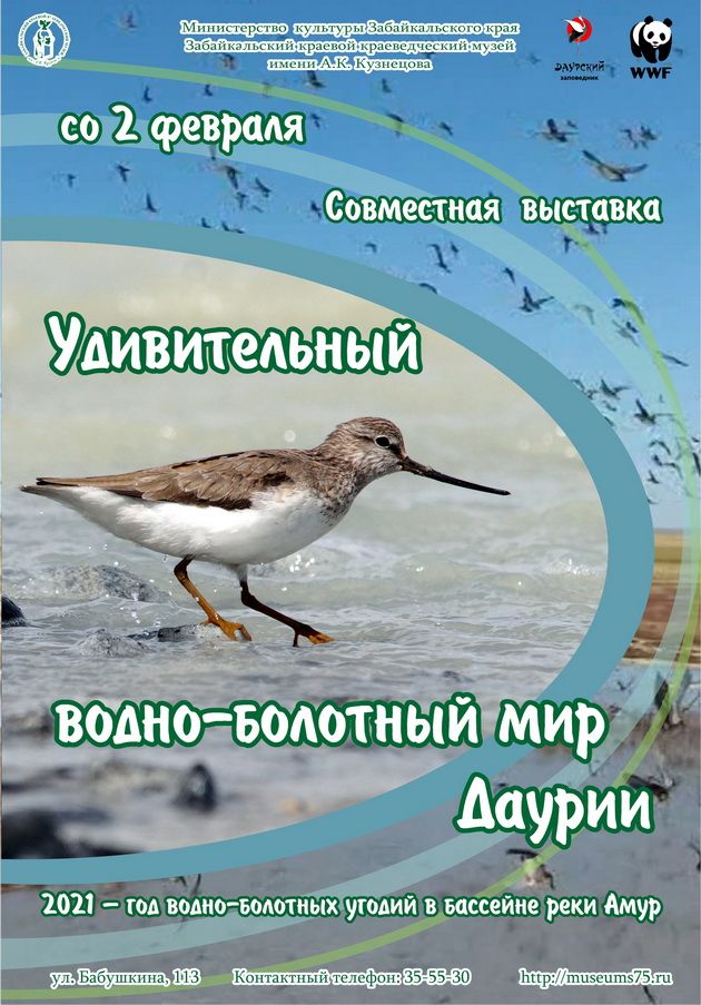 В Чите откроется фотовыставка  «Удивительный водно-болотный мир Даурии»