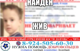 Пропавшего в Борзе четырехлетнего мальчика нашли