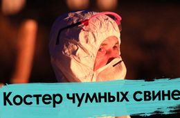 Африканская чума свиней: как сжигали эпидемию
