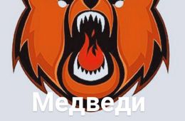 «Чикойские Медведи» - хоккейная «красная машина « из Забайкалья