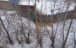 Читинцы устроили помойку под окнами соседей. Это плохо пахнет