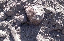 Школу в Большой Туре строят на месте старого кладбища