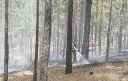Жители Атамановки отстояли свой поселок и лес от пожара