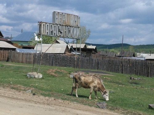 Шахтеров Дарасунского рудника осматривают медработники