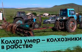 Вечорка ТВ: Колхоз умер – колхозники в рабстве