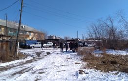 Чиновники убрали мусор и убили собак около дома многодетной матери, ждущей Осипова в гости