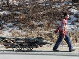 Забайкалец поджег лес, чтоб собрать горельник