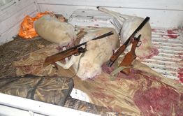 В Борзинском районе задержаны браконьеры на краснокнижных дзеренов 