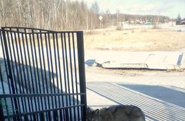 Час волка: Серые в селе Иван-Озеро