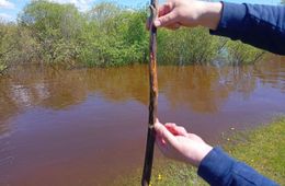 Журналисты «Вечорки» измерили уровень воды в Нерче: успокаиваться пока рано