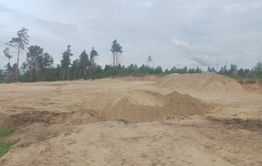 Бывший лесник просит остановить вырубку леса в Добротном