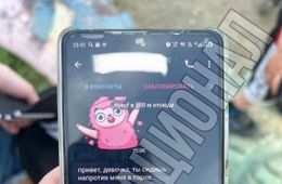 В отношении мигранта, пристававшего к детям в Песчанке, возбуждено уголовное дело