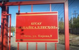 Экс-глава «Забайкаллесхоза» загремел на пять лет за хищение бюджетных денег