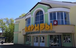 ​Хуже, чем при «Осиновских» — как продавали Дворец спорта
