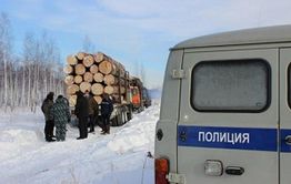 В Забайкалье «черные лесорубы» причинили ущерб на миллион рублей