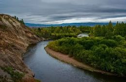 Река в Алексадровке окрасилась в ярко-желтый цвет