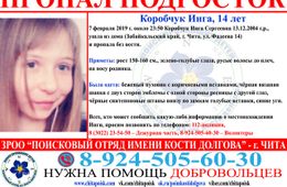 Пропавшая 7 февраля девочка-подросток нашлась
