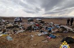 Полиция нашла мать выброшенного на свалку младенца в Забайкалье