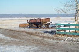 Мусорный Катаклизм Арахлея