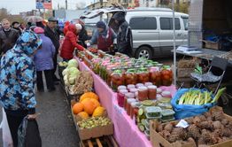 В Чите 15 октября пройдет сельскохозяйственная ярмарка