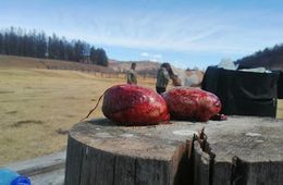 Педофил кастрировал себя в читинском СИЗО