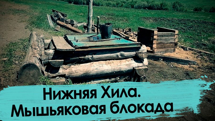Нижняя Хила: здесь травят мышьяком 