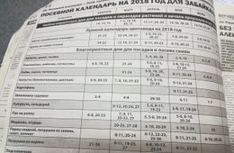 Лучший и точный посевной календарь - в «Вечорке»