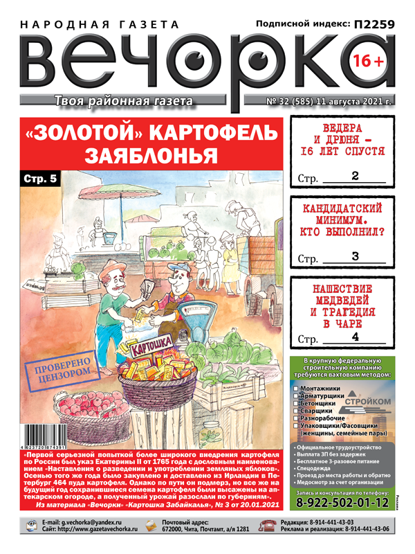 «Вечорка», № 32: «Золотой» картофель Заяблонья 