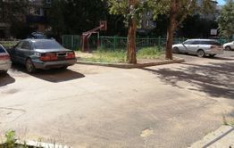 Читинка еле успела спасти ребенка от своры бродячих собак в центре города