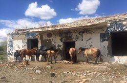 Жители Оловянной сравнили свой посёлок с разбомблённой Сирией (Фото)