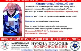 Читинка, упавшая в реку Ингоду, объявлена в розыск