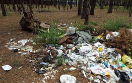 АТАМАНОВКА: КОГДА В ЛЕСУ МУСОРА БОЛЬШЕ, ЧЕМ ДЕРЕВЬЕВ