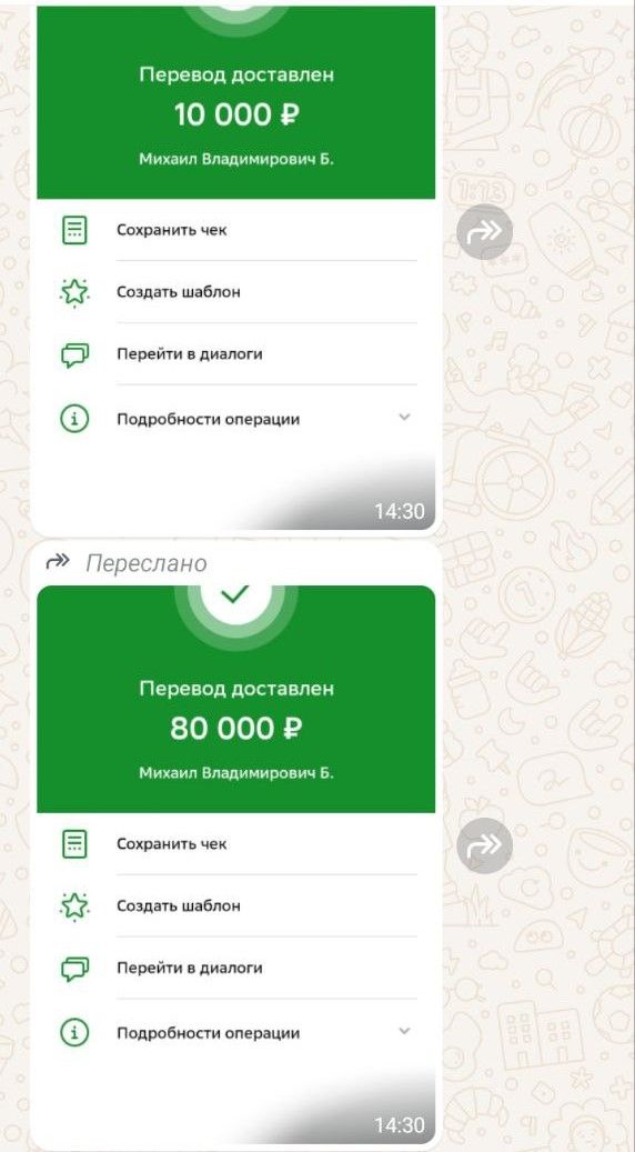 Матери бойца СВО и военкорам «Вечорки» угрожают