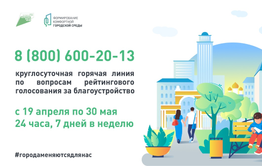 Горячую линию по голосованию за благоустройство территорий откроют в Забайкалье