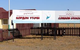 Главы забайкальских сел просят монгольский народ помочь спасти Тореи 