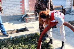Наша Таня Есикова в роли ассенизатора. Сюжет ...