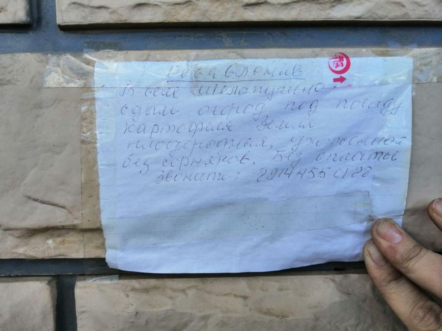 Забайкальцы начали сдавать в аренду картофельные поля
