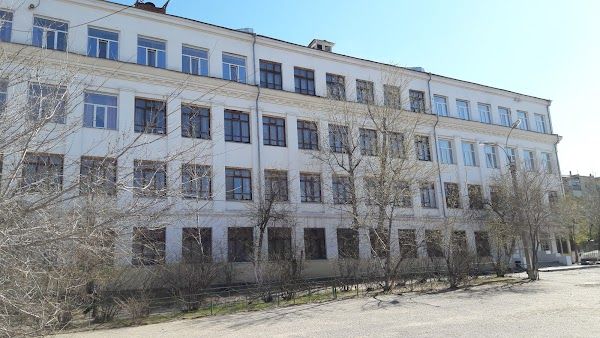 Собаки едва не напали на ребенка около школы в центре Читы