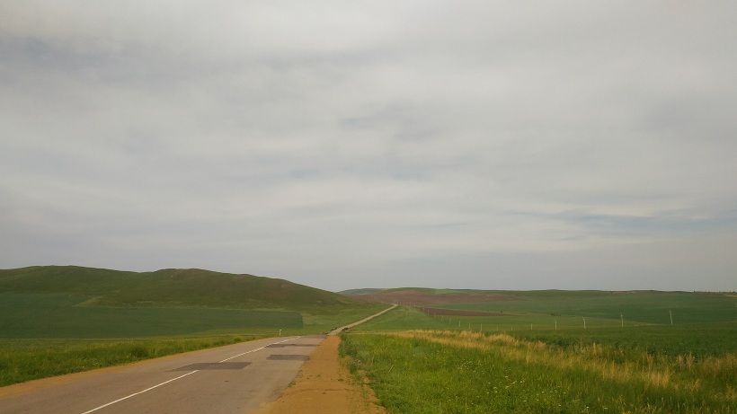 Полиция задержала 85 гастарбайтеров, незаконно собиравших солодку в Краснокаменске