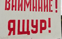 ​Жителям села Кайластуй возместили ущерб за изъятие заболевших ящуром животных