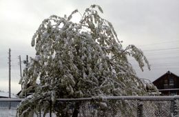 Зима вернулась в Забайкалье
