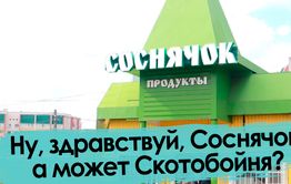 Сосновый Бор в Чите — и сквозь века все та же Скотобойня