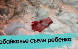 Собаки загрызли 7-летнюю девочку в селе под Читой