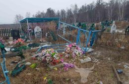 Коровы разрушили могилы на кладбище в селе Забайкалья
